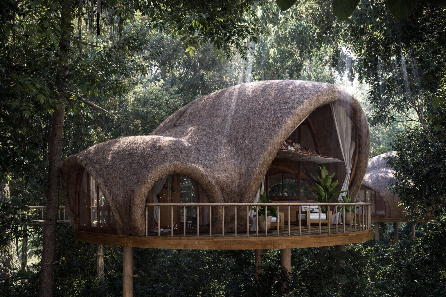 Rainforest Canopy Exterior