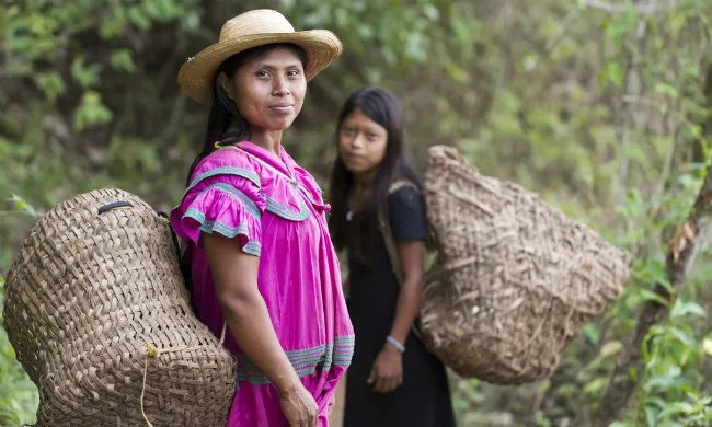 Chácara weaving