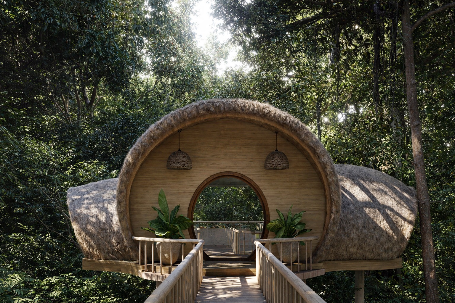 Rainforest Canopy Overview