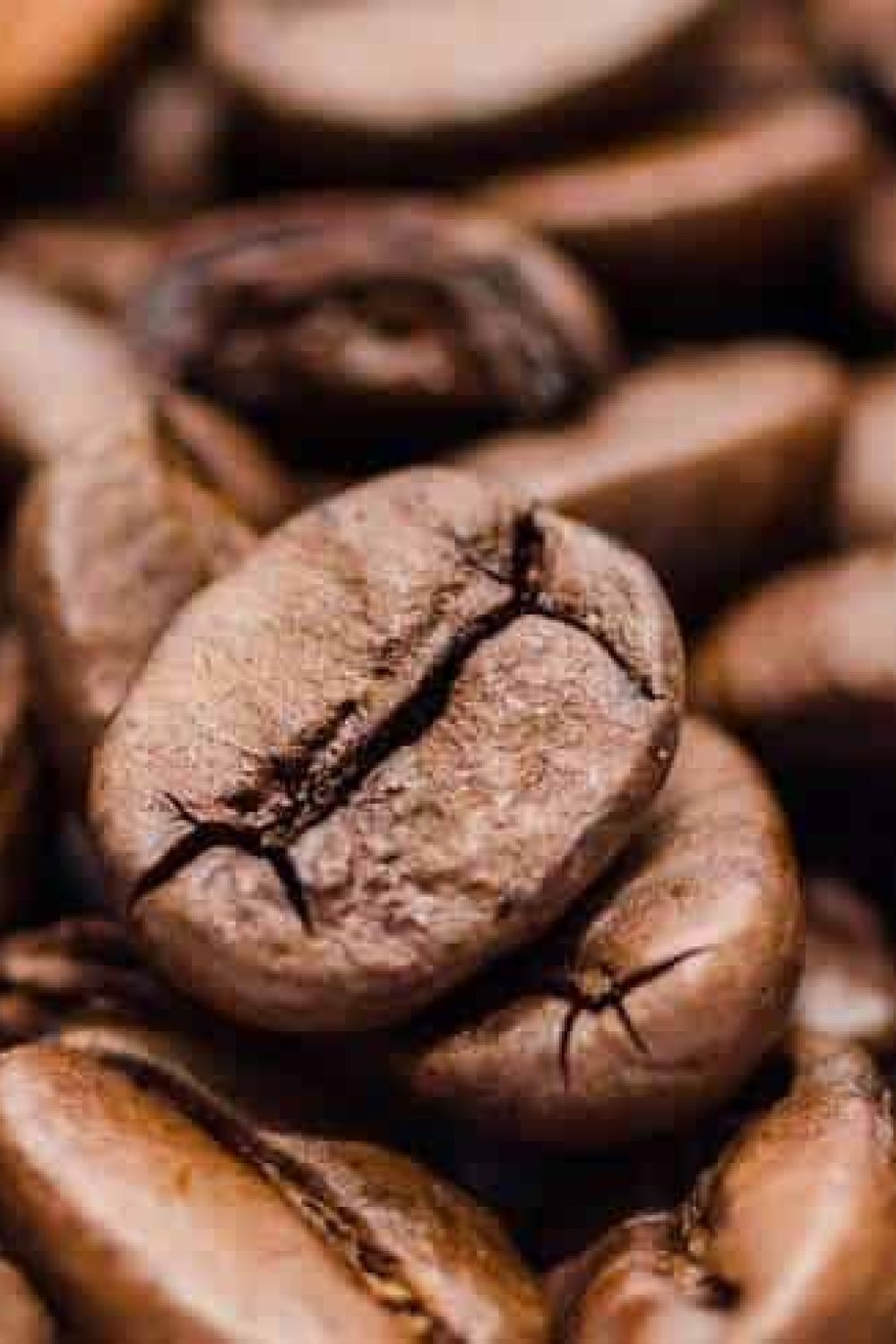 Rwanda Coffee Tourism: Experience Nibyiza Coffee in the Heart of Africa