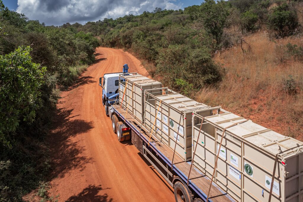 A convoy truck transporting white rhinos through the savannah en route to Akagera National Park in Rwanda