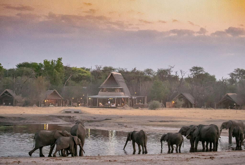 Elephants at Ngorongoro Crater