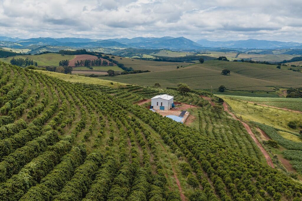 Aerial view of coffee plantations in Rwanda