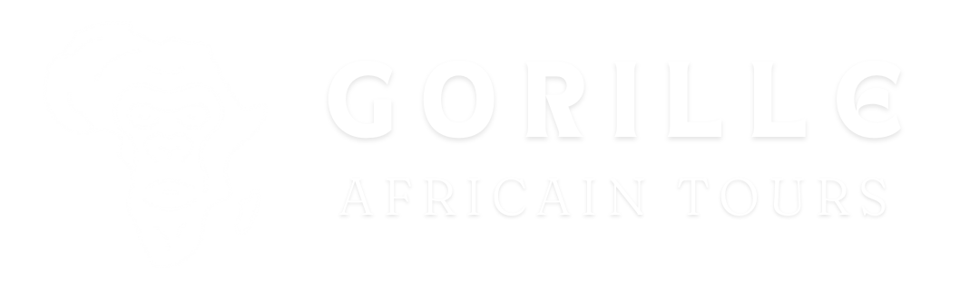 Gorille Africain