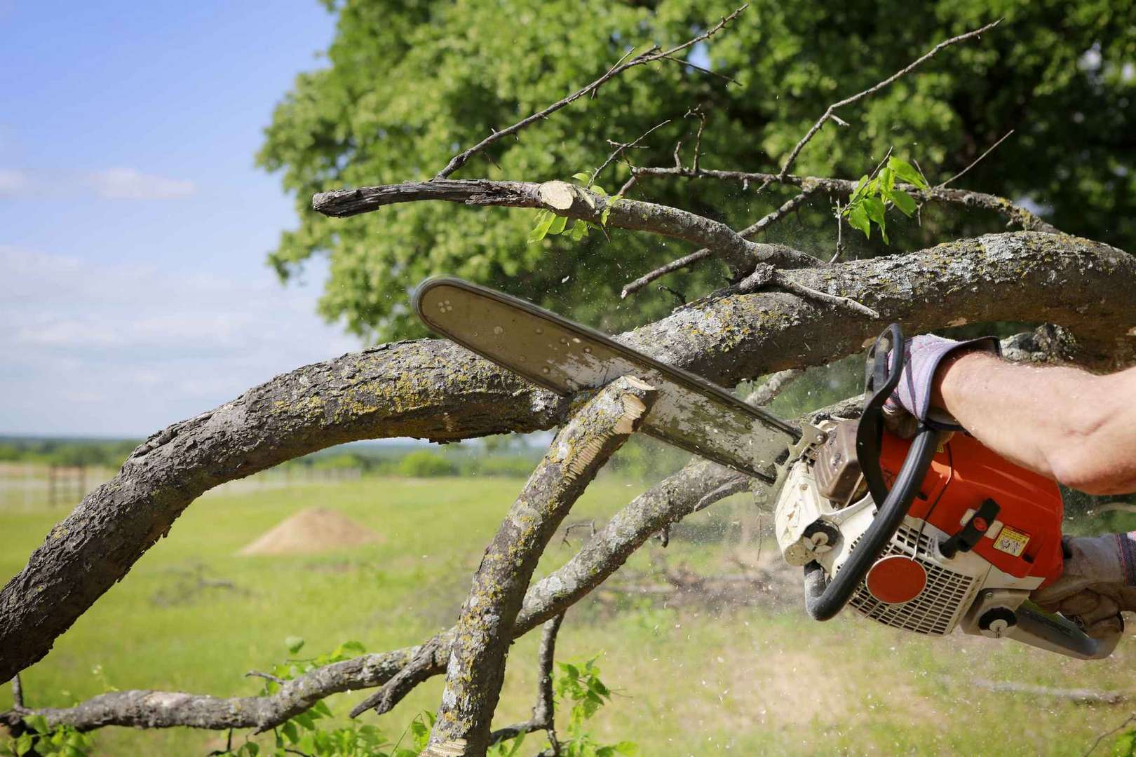 Arborist using a chainsaw to cut a tree branch in Austin TX