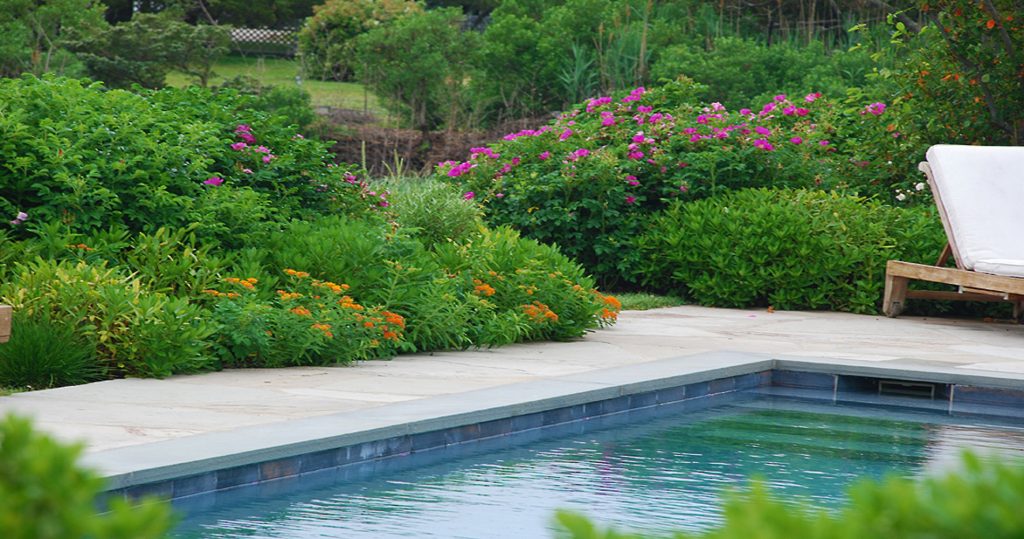 The Pool Garden