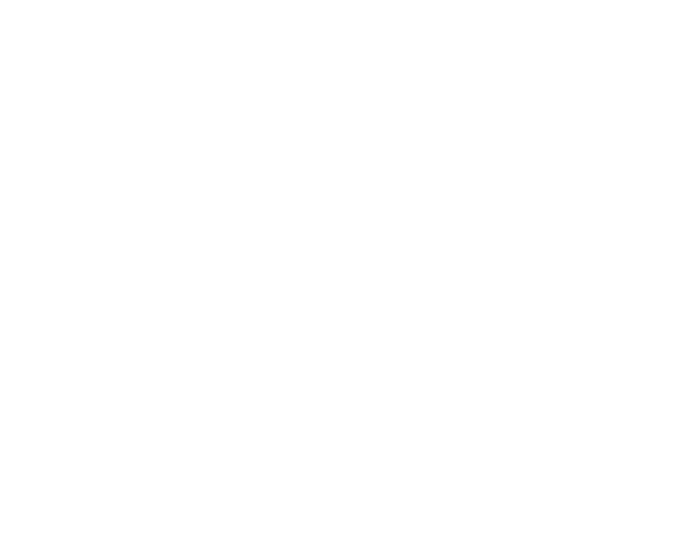 Salih The CMO