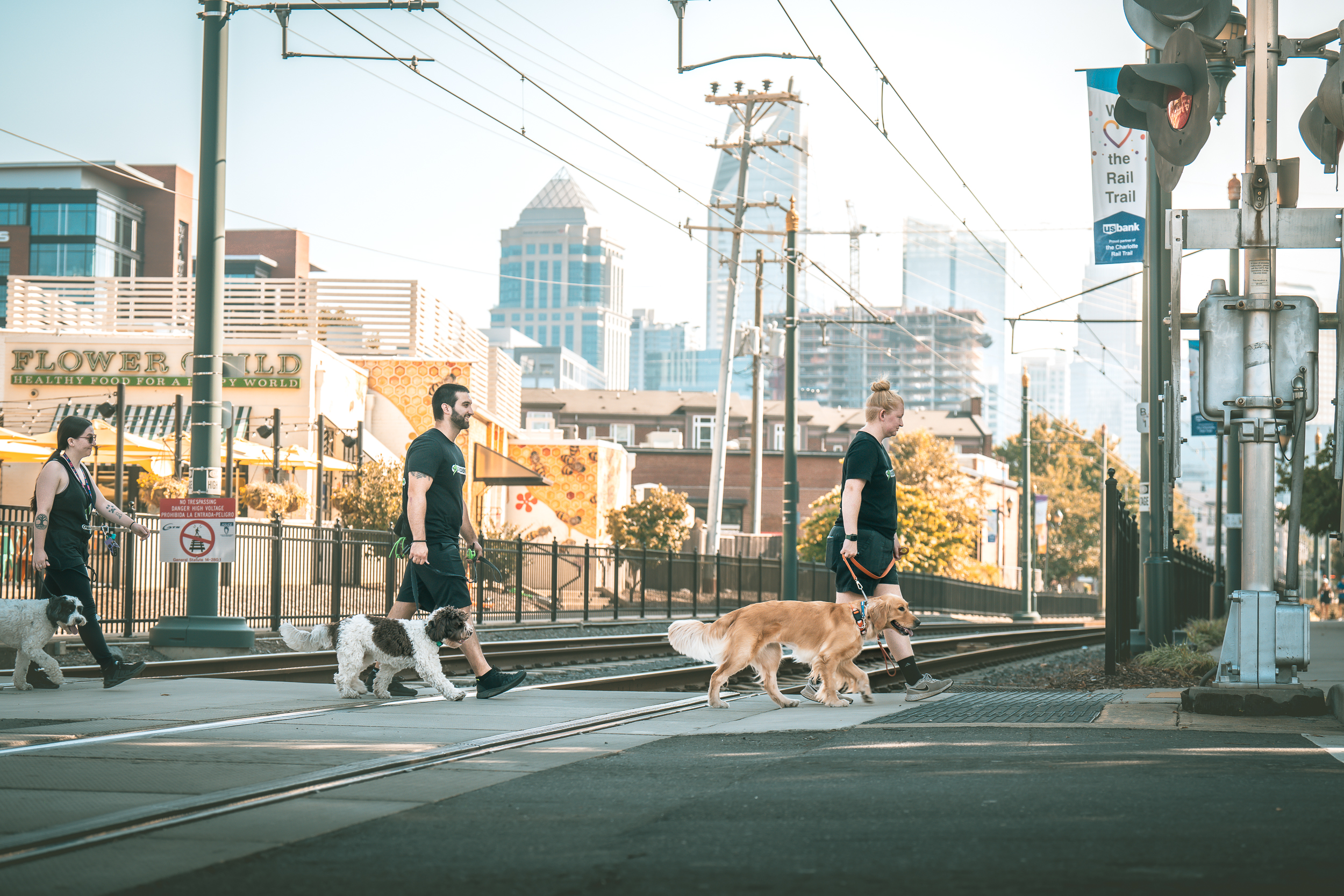 Real world dog training in South End Charlotte