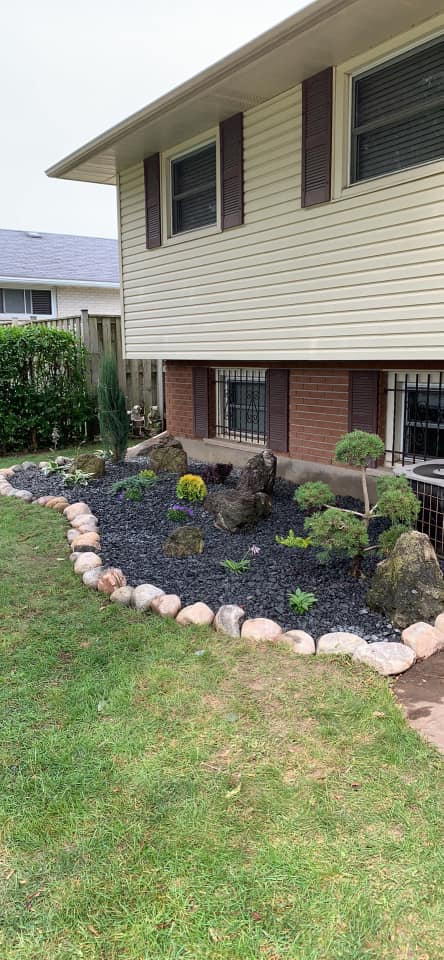 Pom Pom Juniper and Perennial Garden