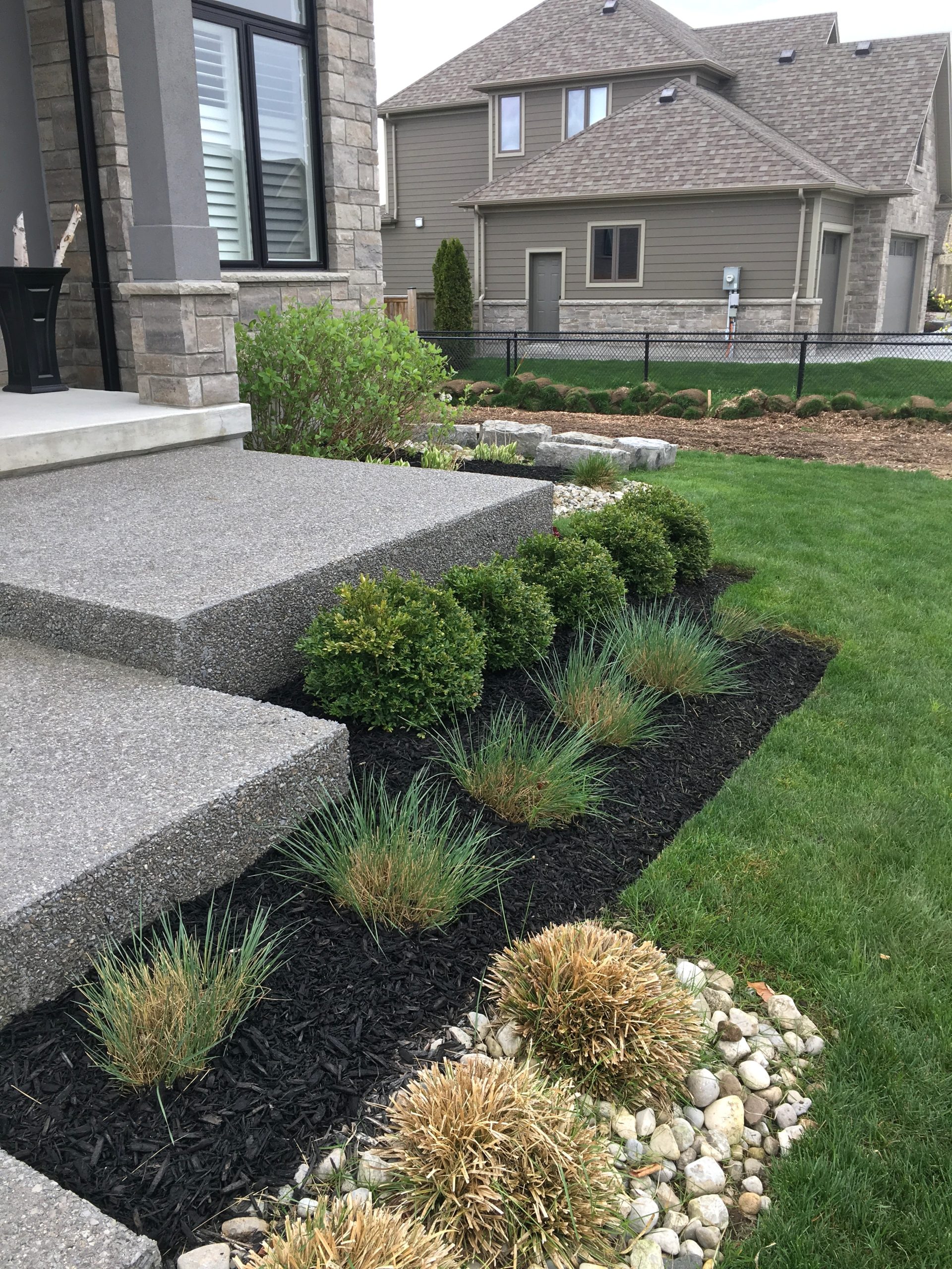 Front Yard Plants