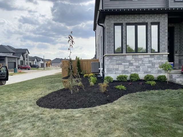 Front Garden