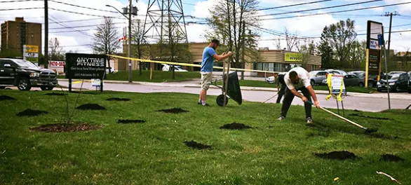 Property Maintenance