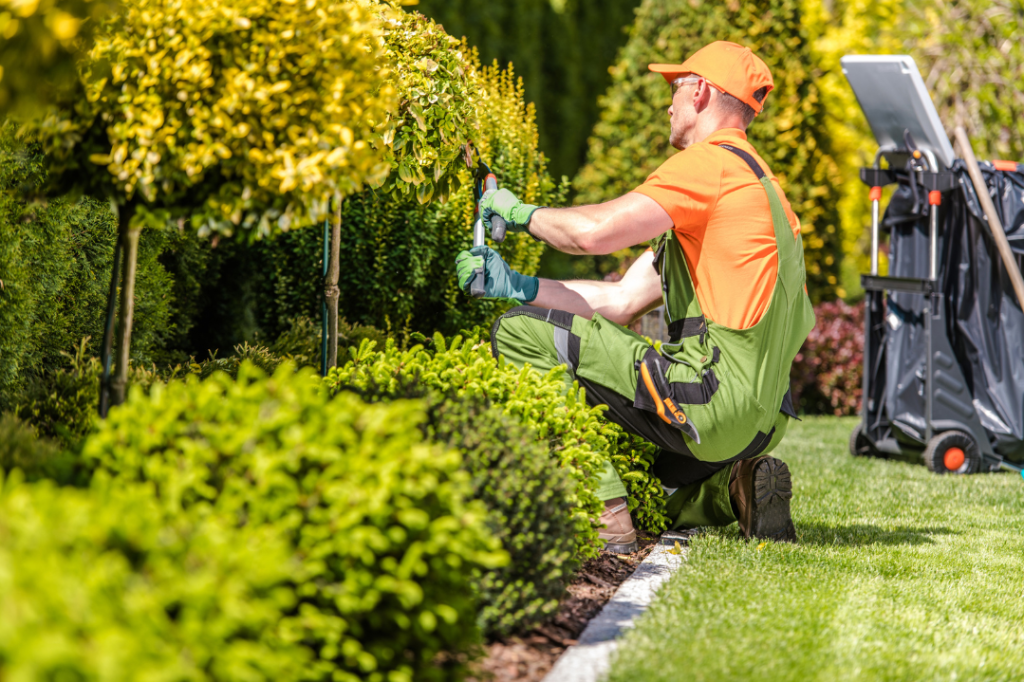 Year-Round Property Maintenance Services