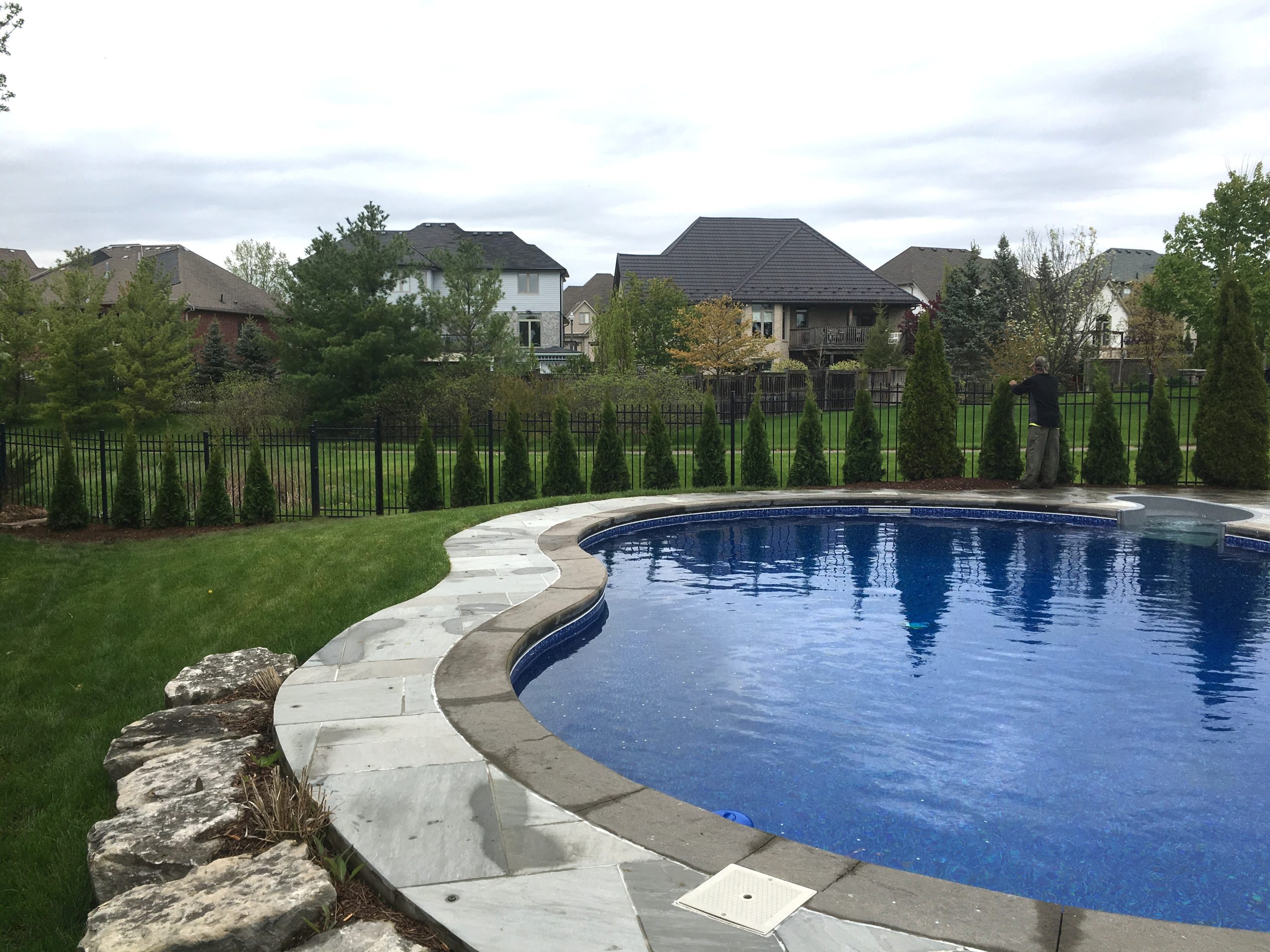 Pool and Trees Backyard