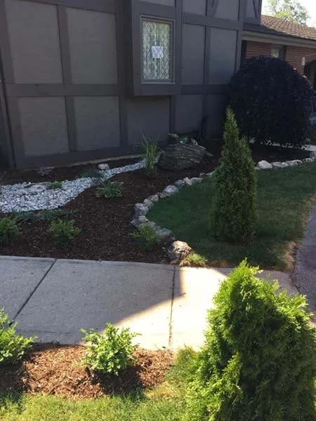Limestone Boarder Garden