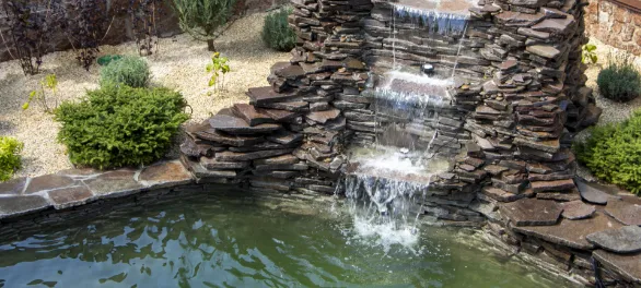 Ponds/Water Features