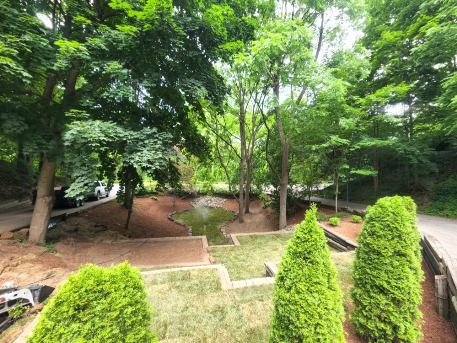 Big Yard and Garden