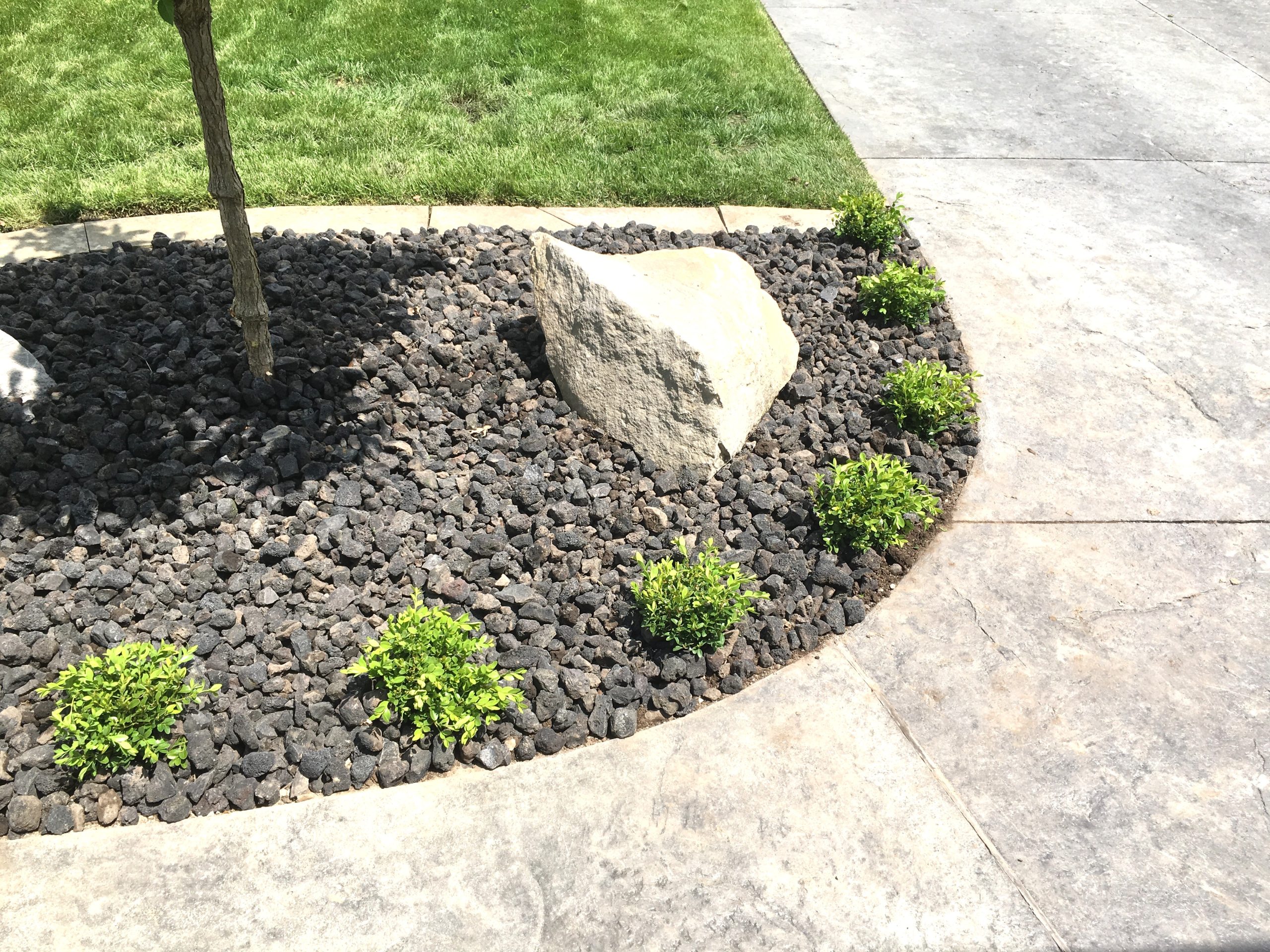Front Yard Garden With Rock