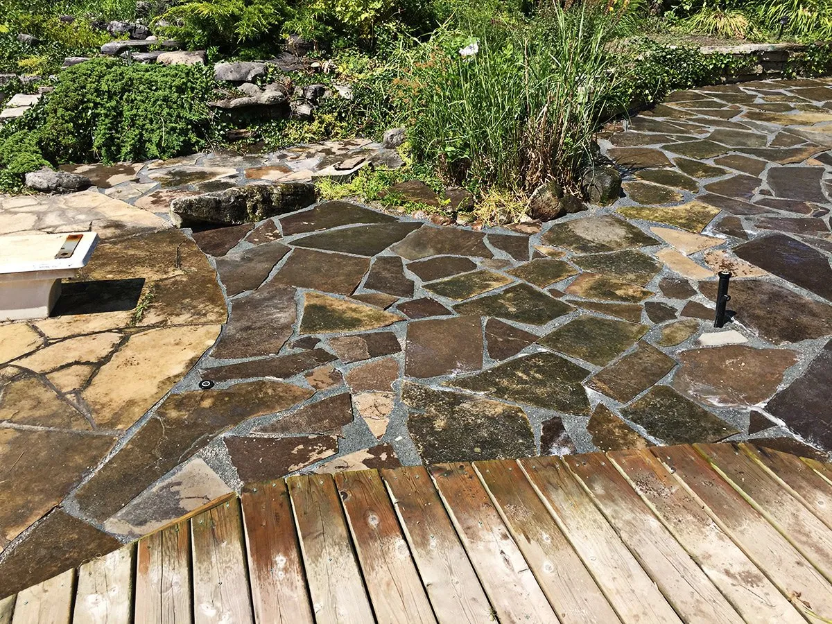 Flagstone Patio with Porcupine Grasses