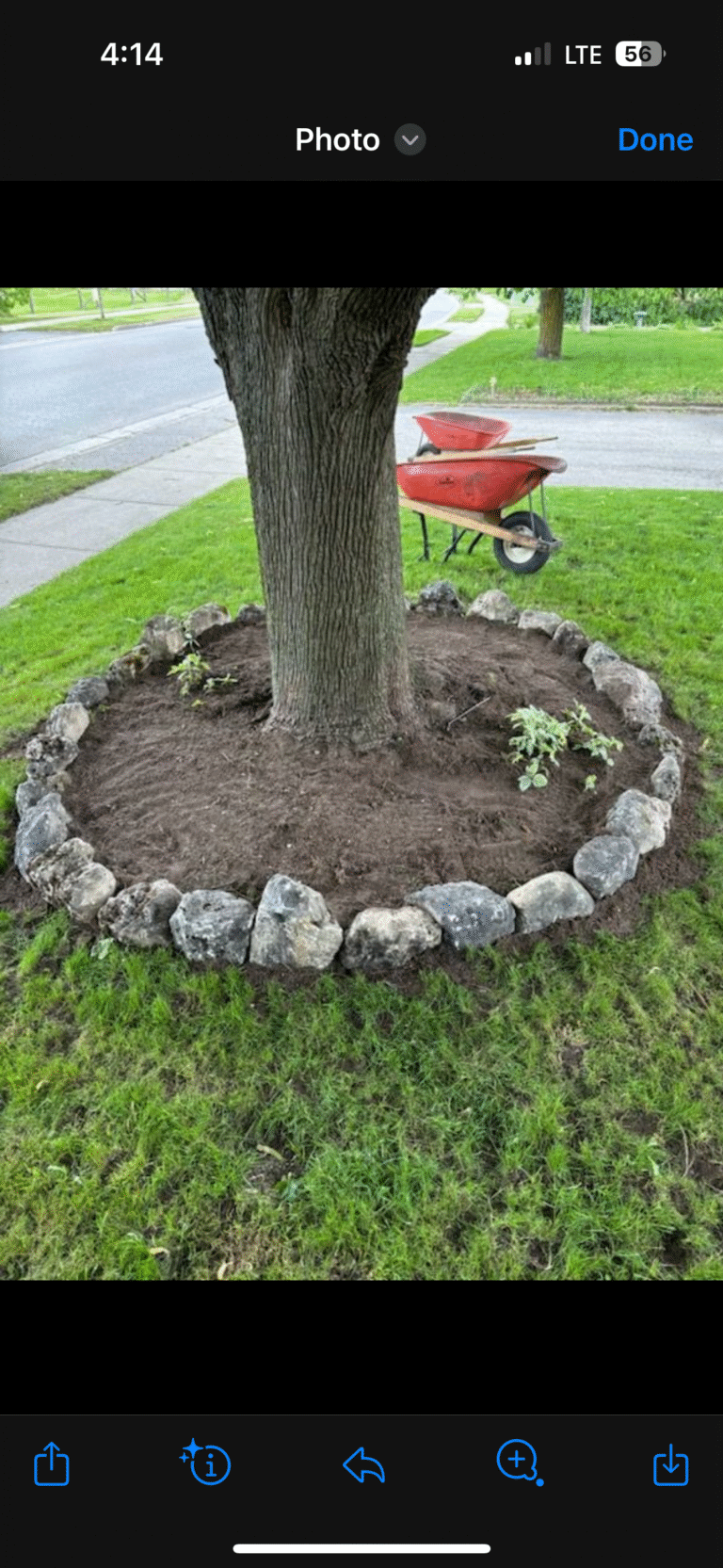 Landscaping Project 30