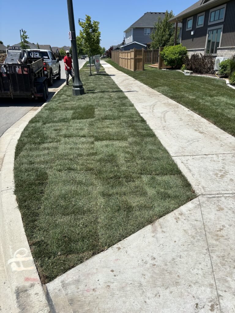 Landscaping Project 46