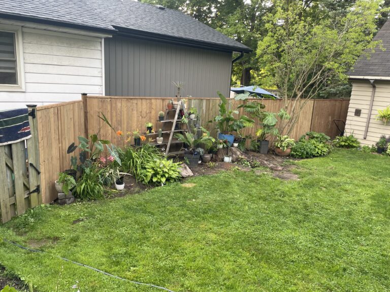 Landscaping Project 11