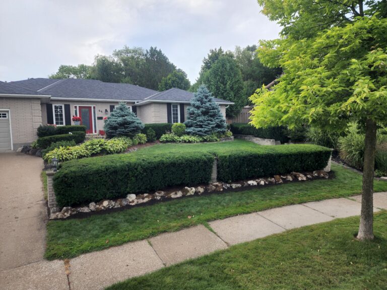 Landscaping Project 36