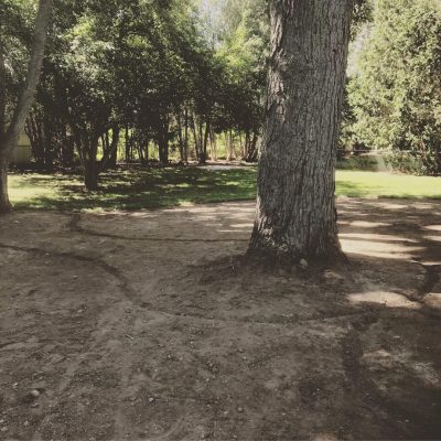 Gallery image 14