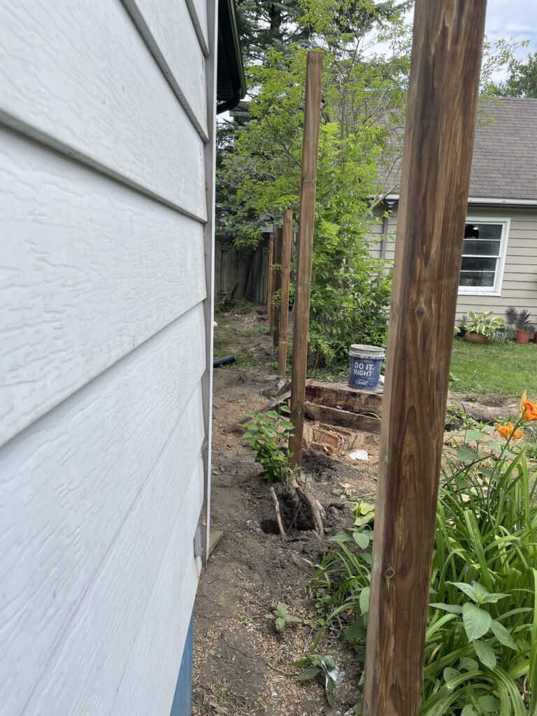 Landscaping Project 12