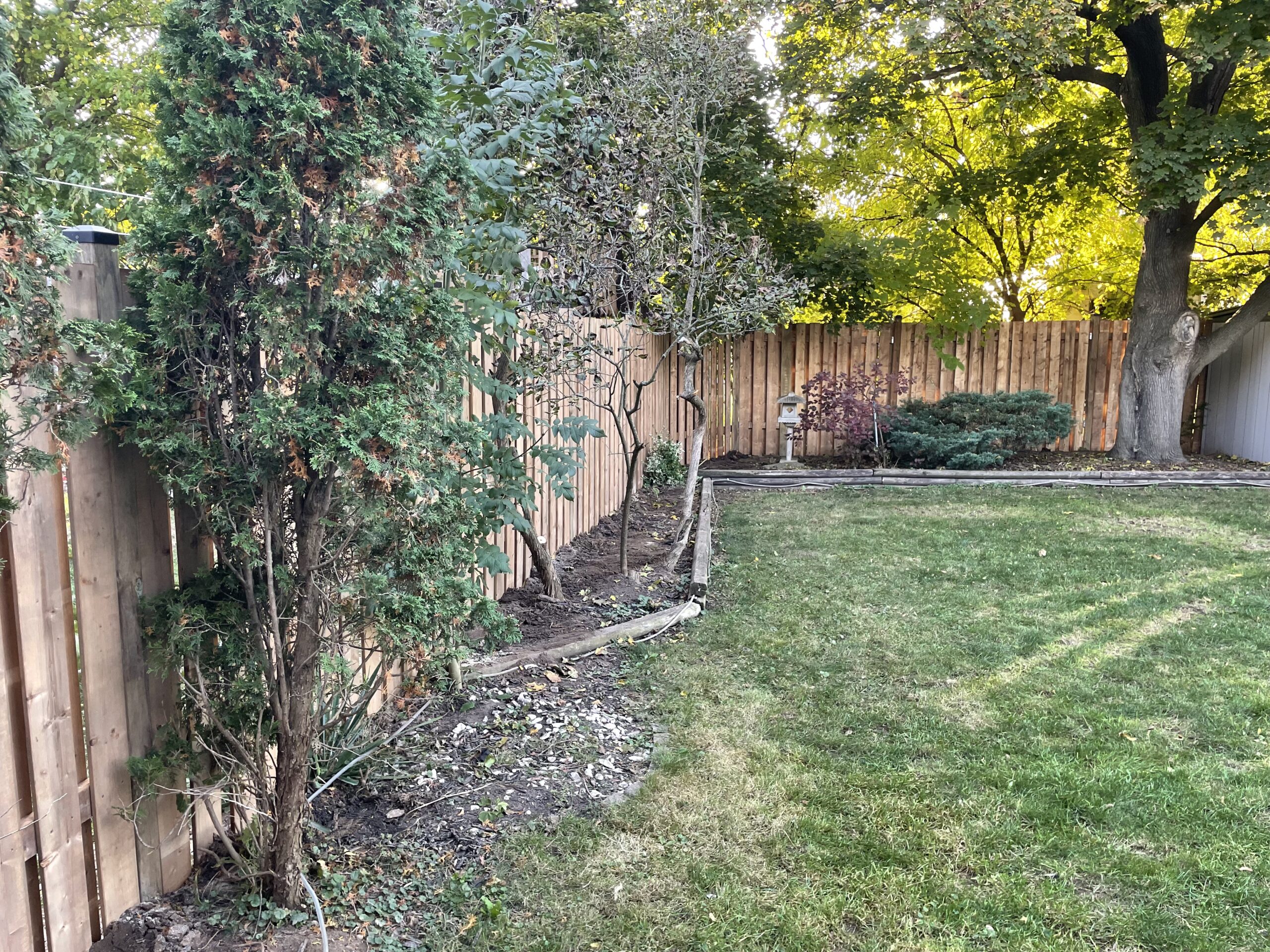 Landscaping Project 3