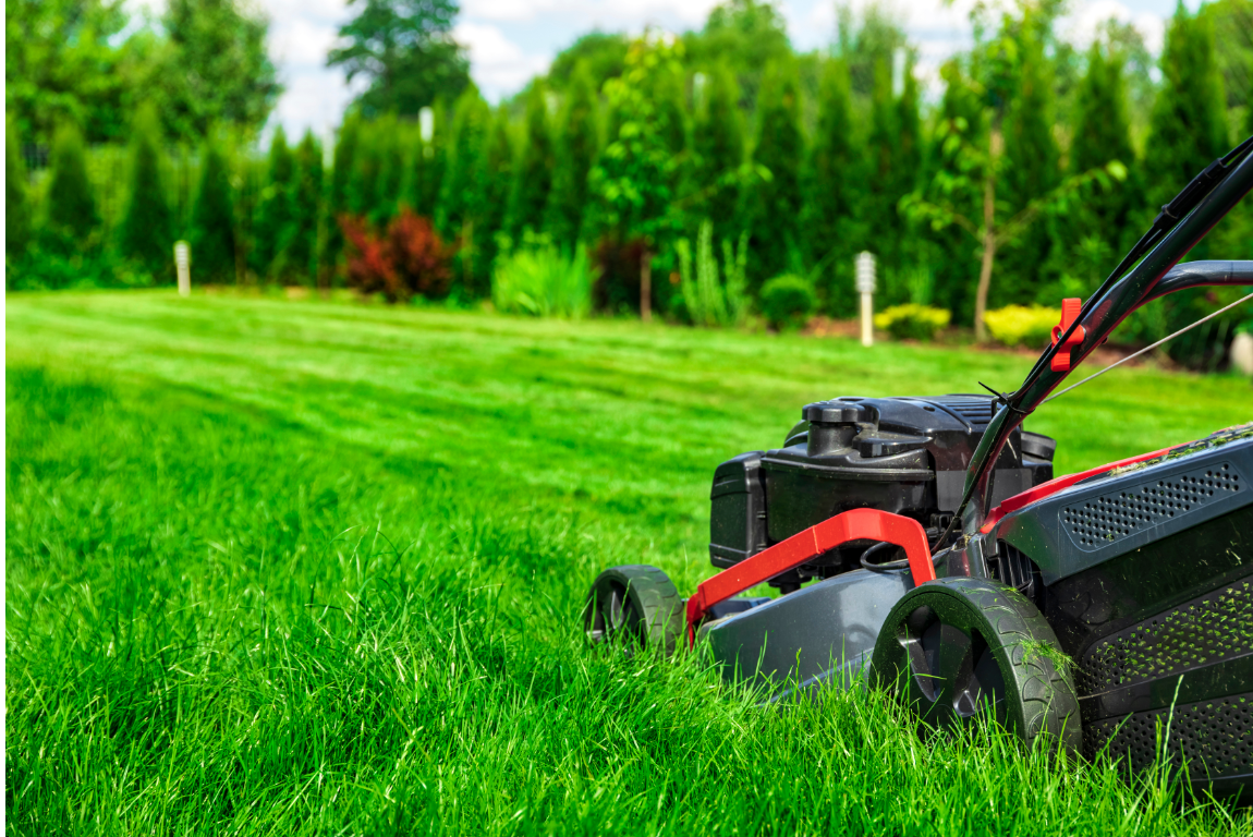 Comprehensive Lawn Maintenance
