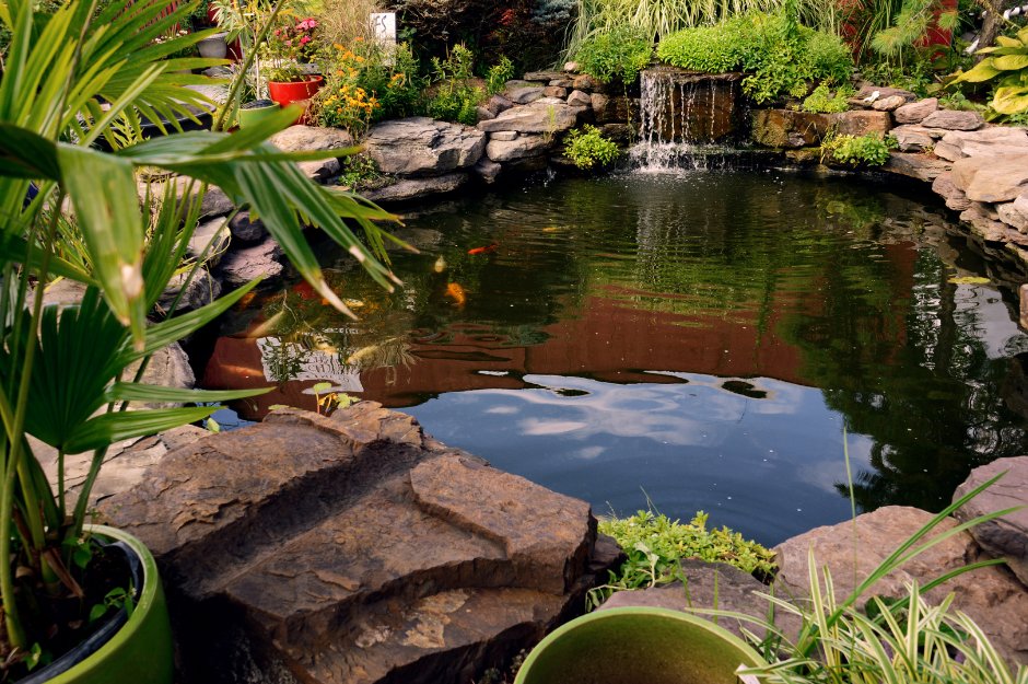 Beautiful pond design