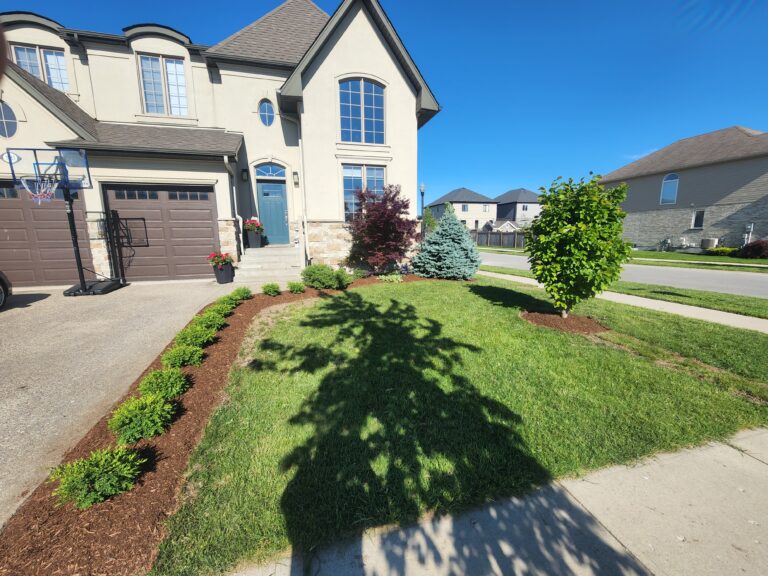 Landscaping Project 42