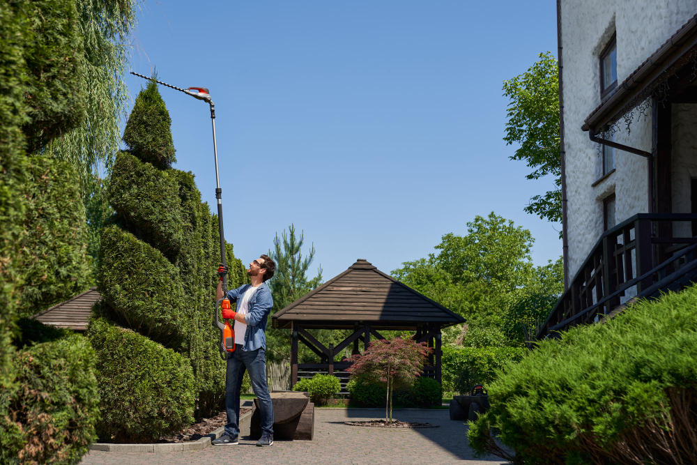 Year-Round Maintenance