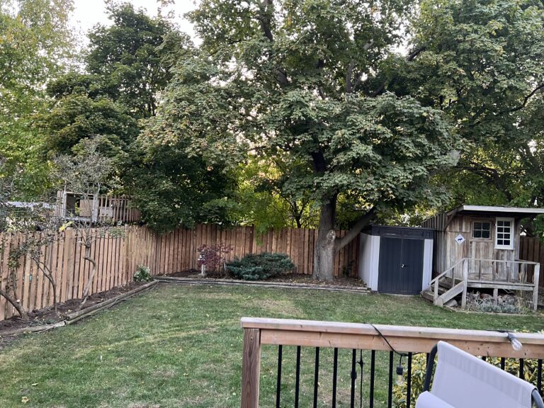 Landscaping Project 26