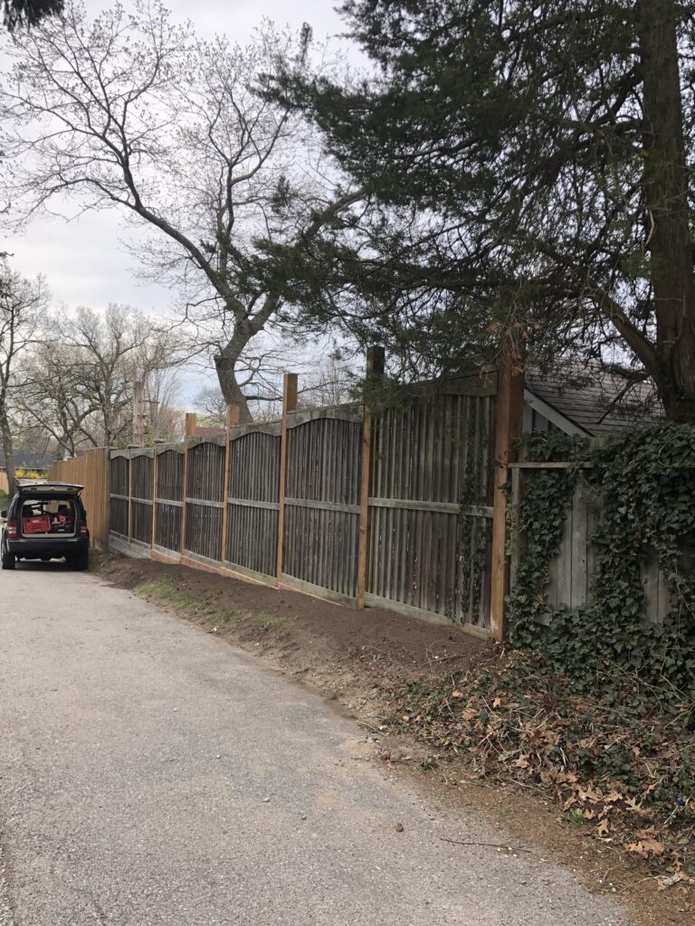 Landscaping Project 23