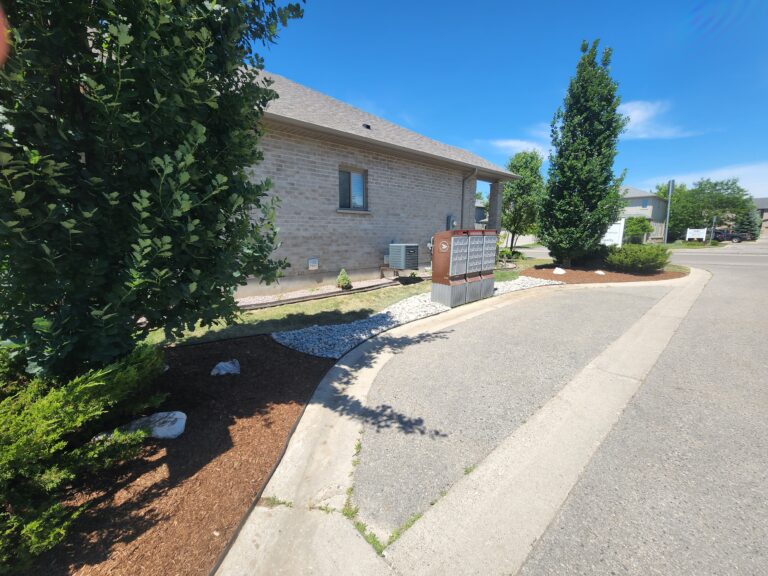 Landscaping Project 39