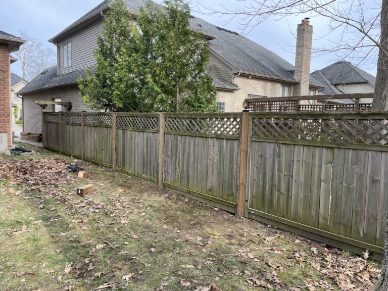 Landscaping Project 19