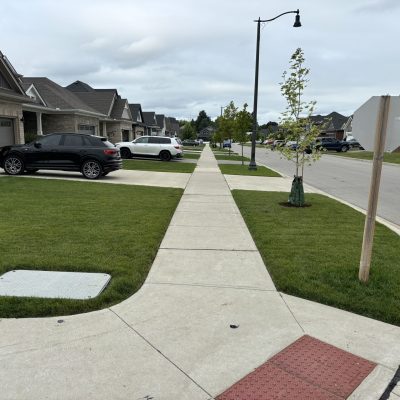 Gallery image 10