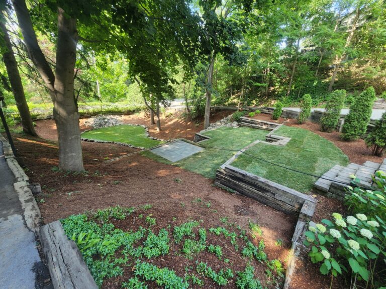 Landscaping Project 38