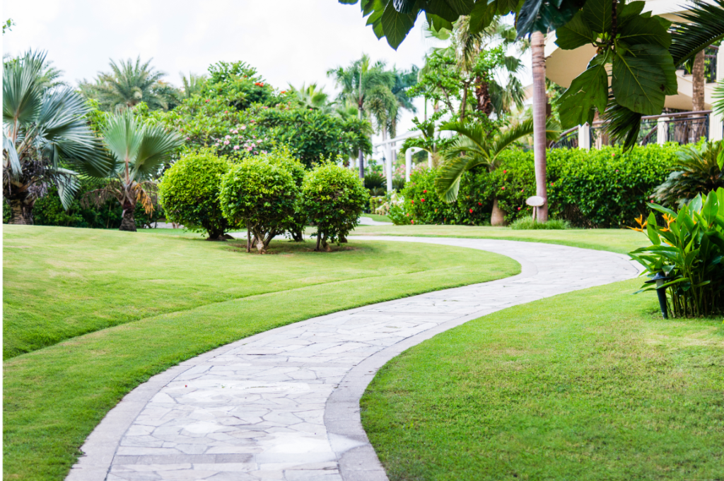 Beautiful natural stone walkway