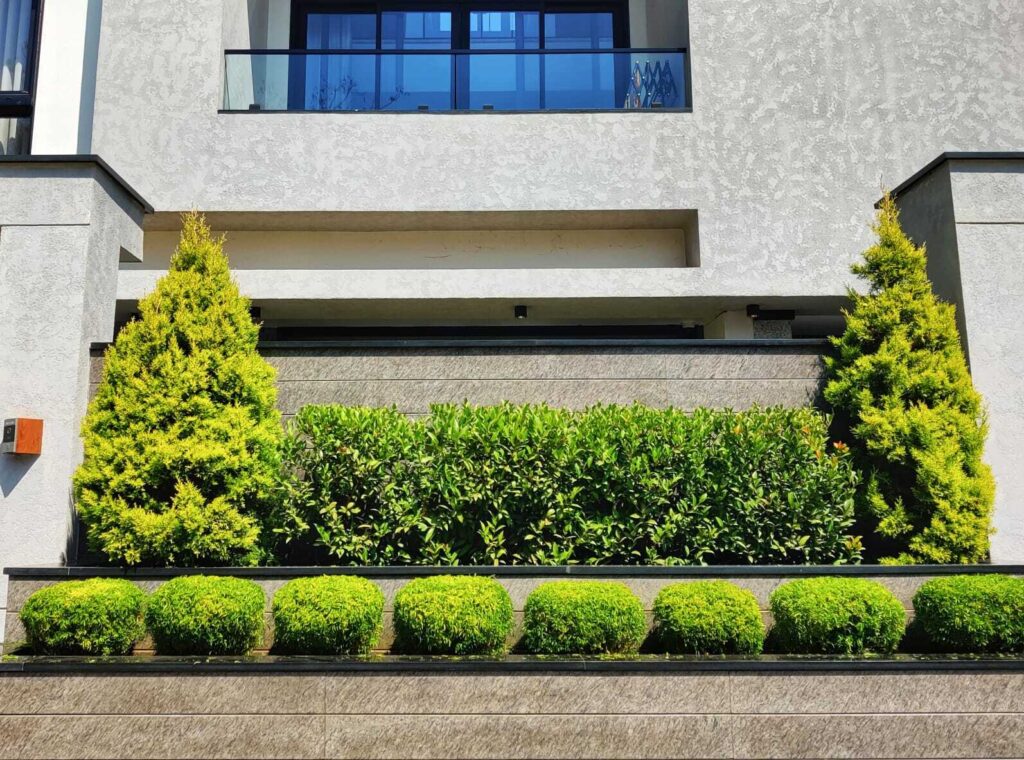 Business Property Maintenance
