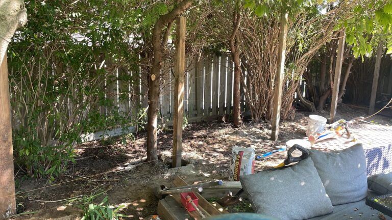 Landscaping Project 29