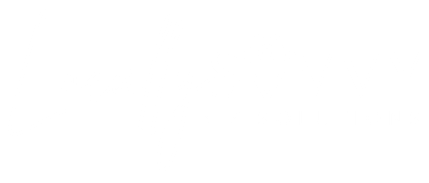 Locally Savvy Biz Solutions