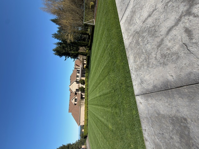Lawn Maintenance