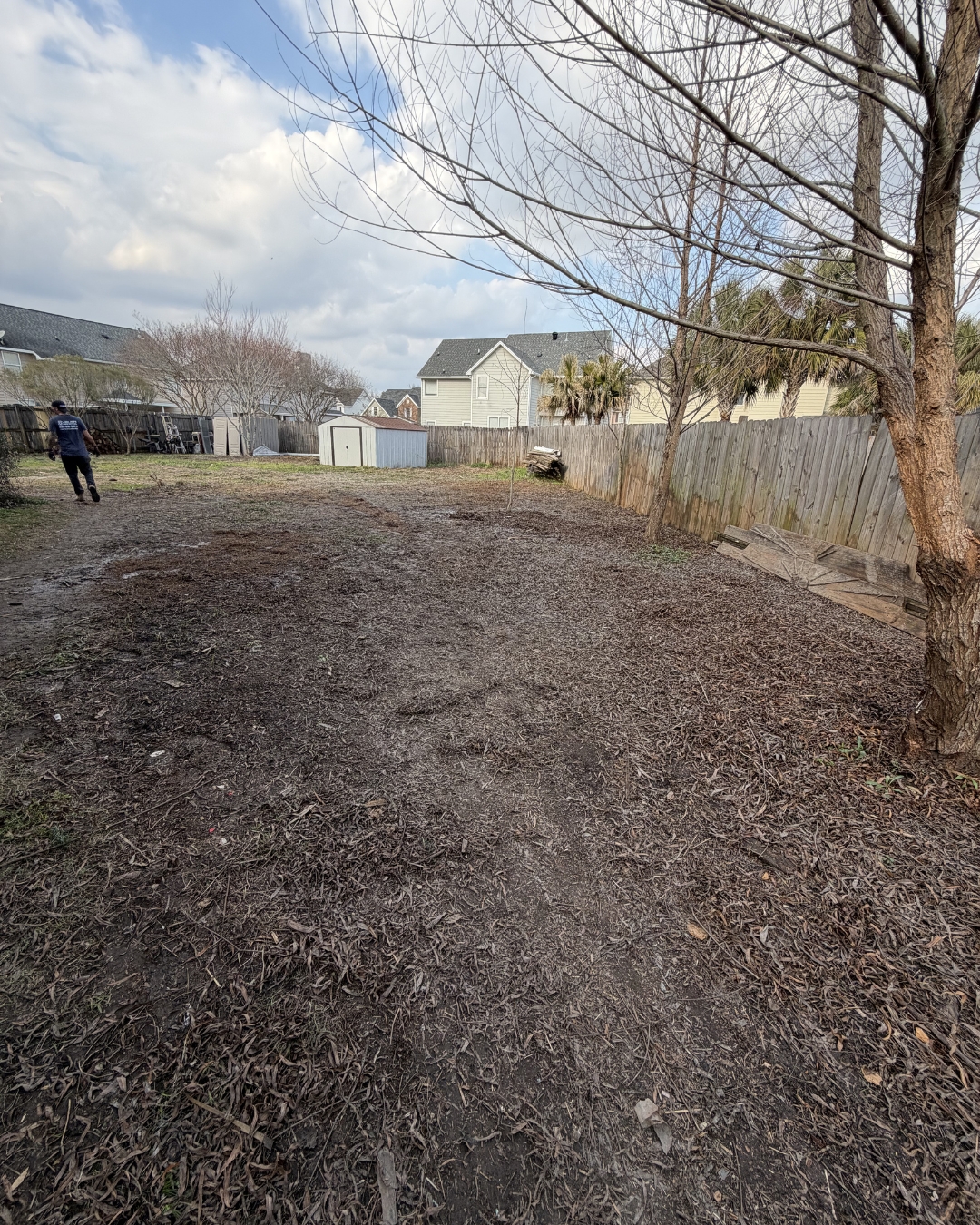 Clean yard after junk removal