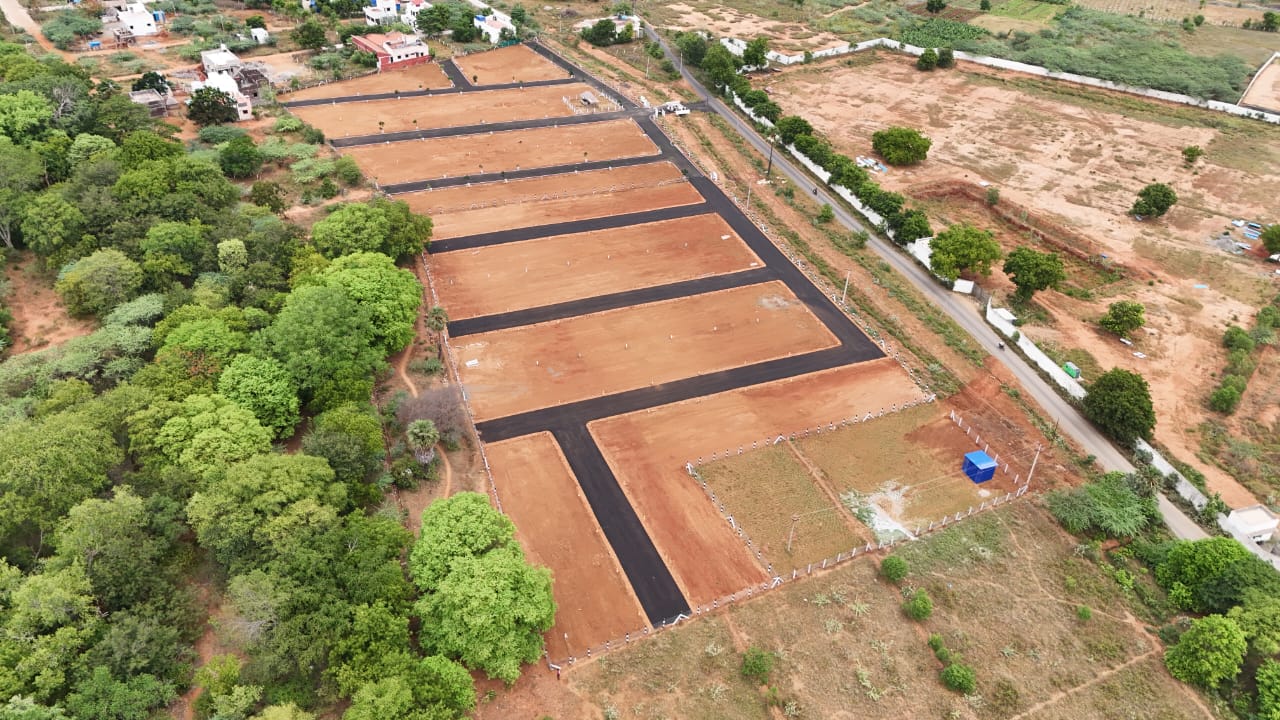 Aerial View of Layout 5