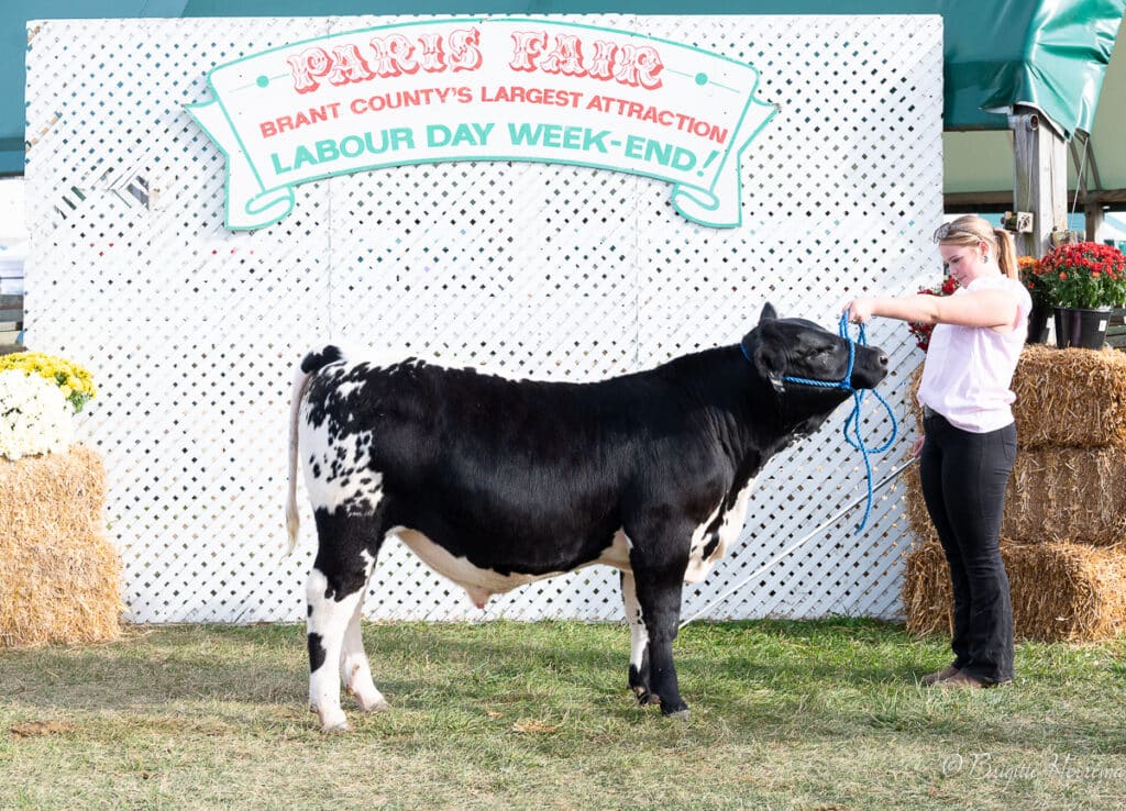 Trestle Creek Nimbus 511N