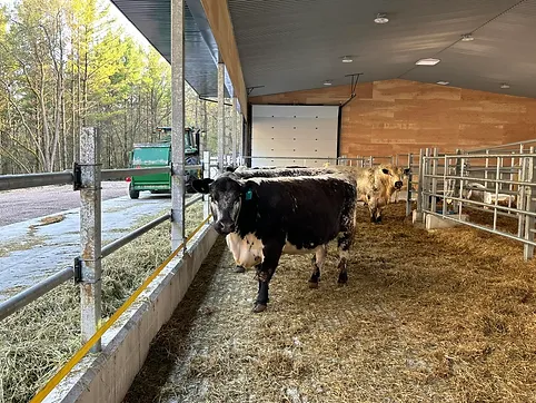 Barn Tour Area 8