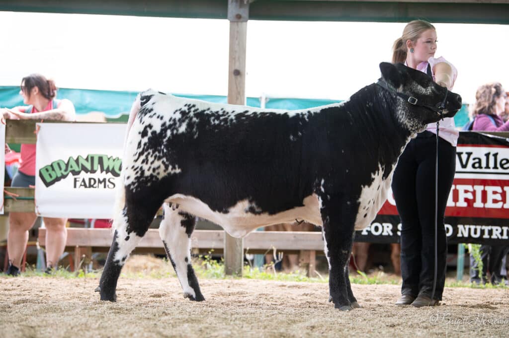 Trestle Creek Nimbus 511N Standing